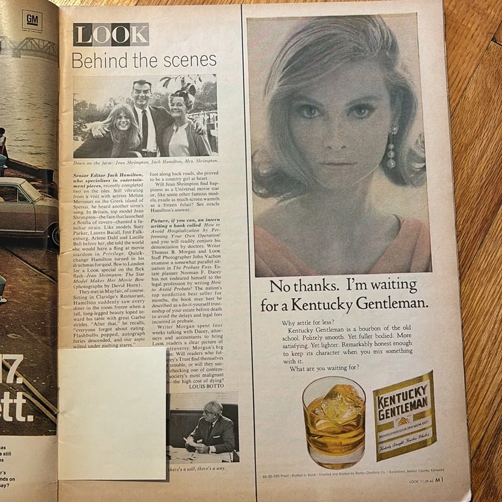 Vintage Look Magazine November 29 1966 Simon & Garfunkel JFK Stamps